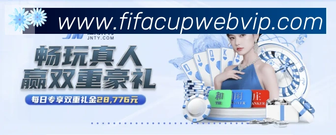 美加墨世界杯数据官方网站荣誉
